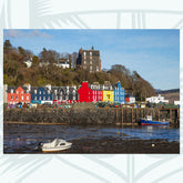 A Row of Colour - Photographic Print - Amy Davidson